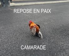 Image personnelle