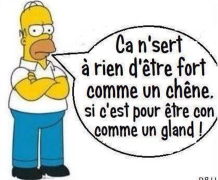 Image personnelle